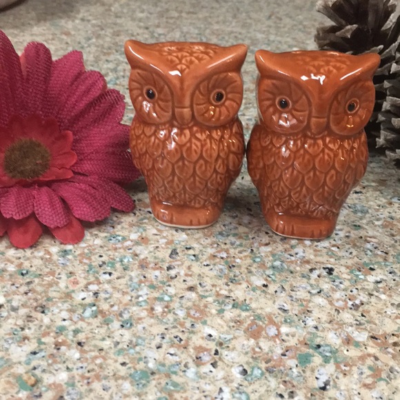 Other - 🍂Precious Glass Owl Salt & Pepper shakers